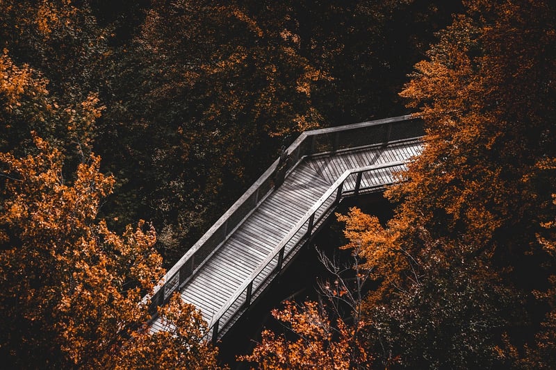 Nature Trails Exploration