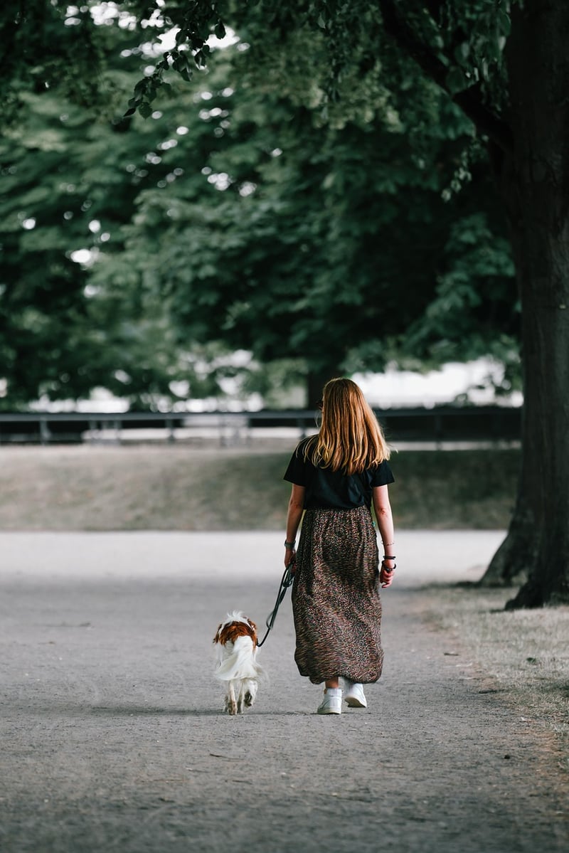 Urban Walking Route